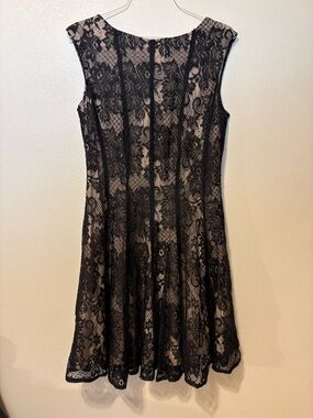 Dress Barn Black Lace Midi Dress with Nude Underlay